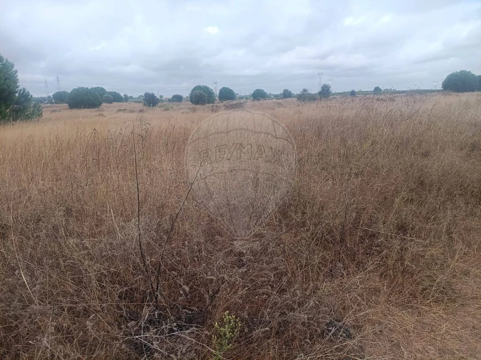 Terreno para Venda em Palmela Foto 5