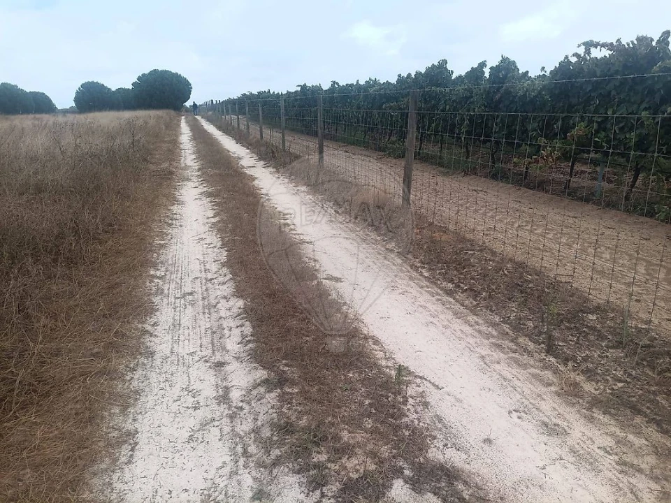 Terreno para Venda em Palmela Foto 1