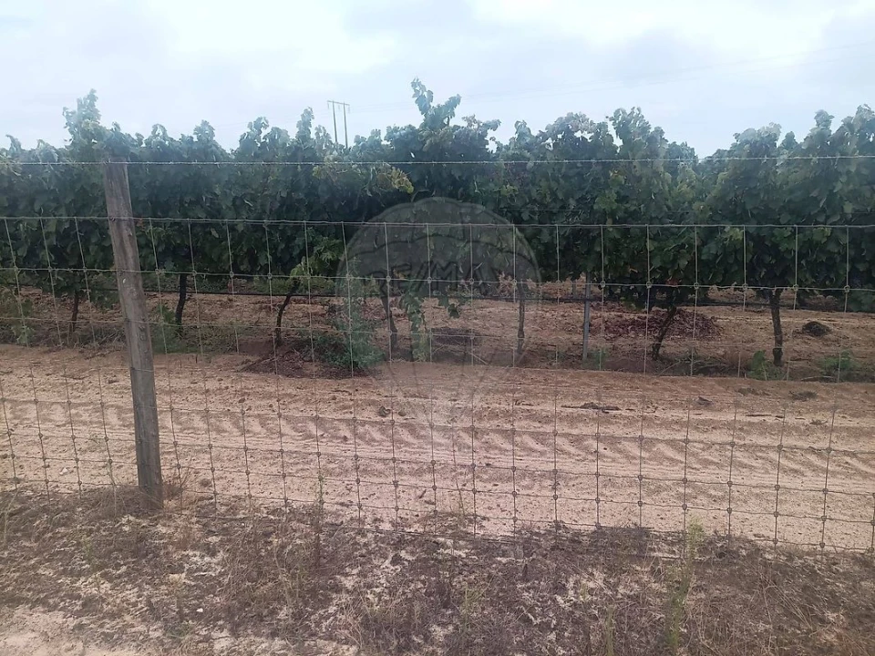 Terreno para Venda em Palmela Foto 2