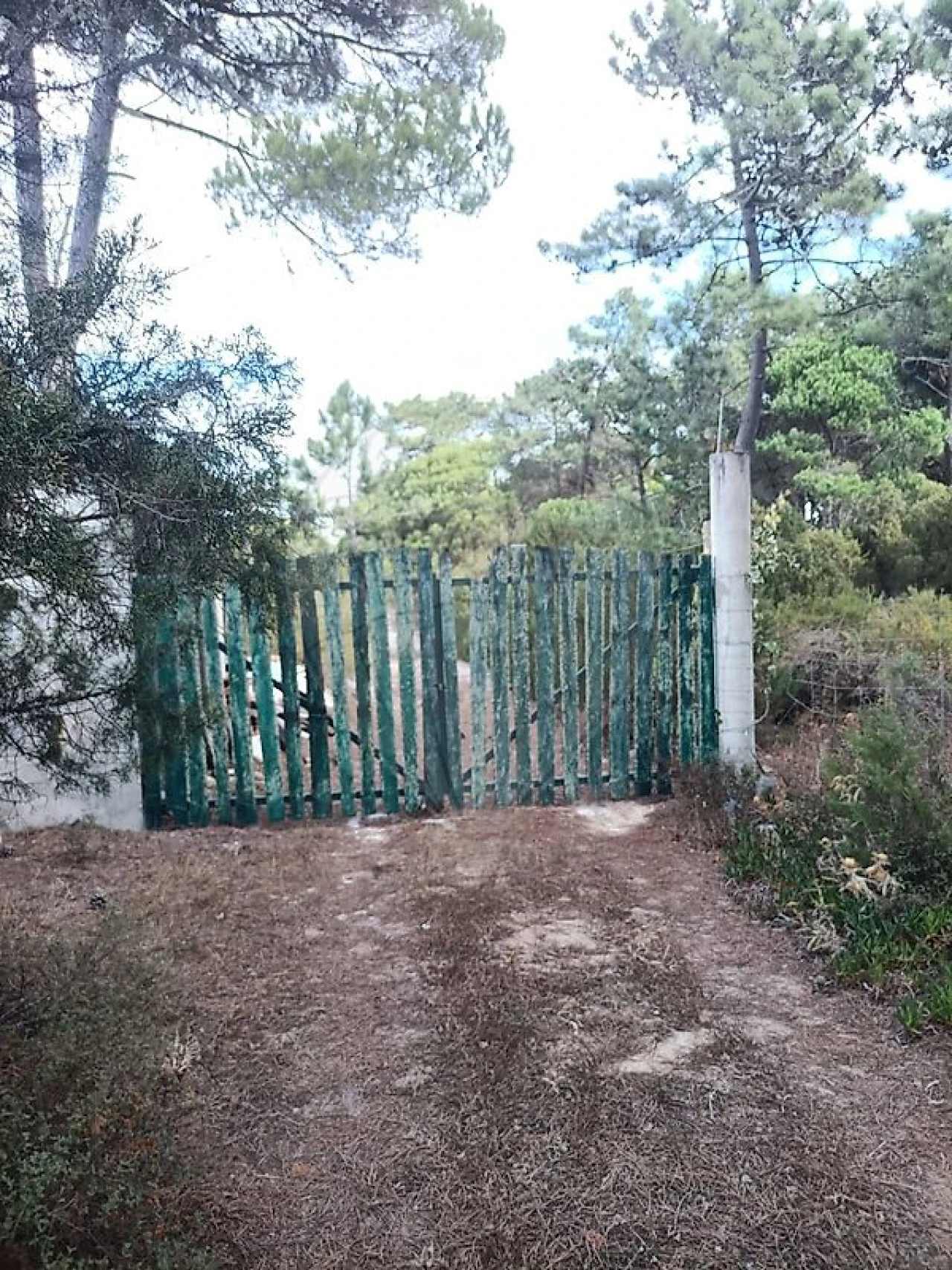 Terreno para Venda em Sesimbra (Castelo) Foto 6