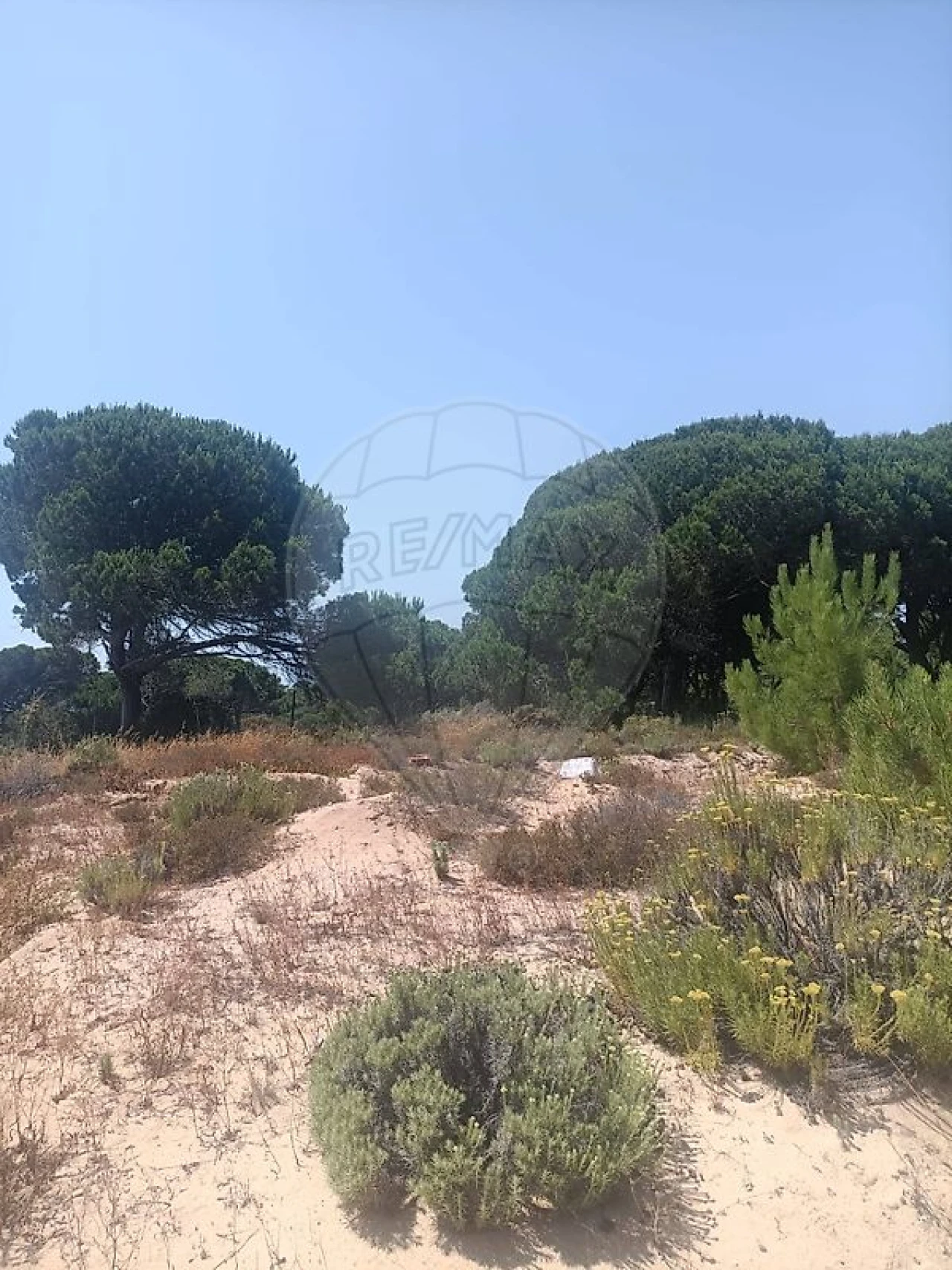 Terreno para Venda em Sesimbra (Castelo) Foto 1