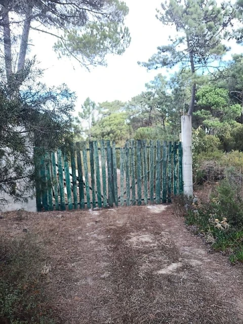 Terreno para Venda em Sesimbra (Castelo)