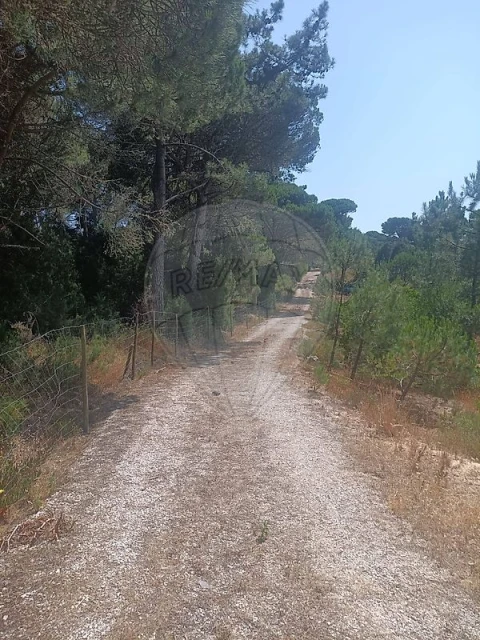 Terreno para Venda em Sesimbra (Castelo)