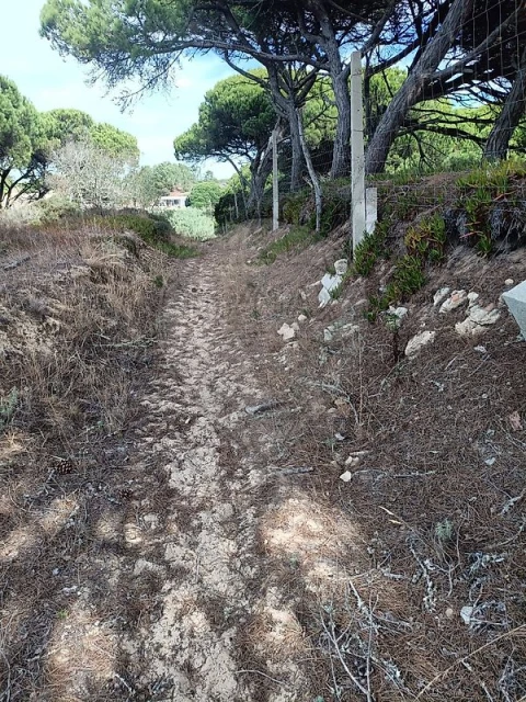 Terreno para Venda em Sesimbra (Castelo)