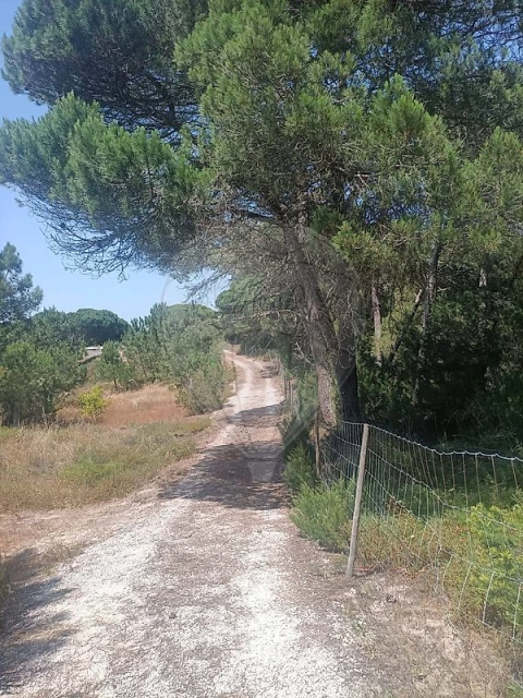 Terreno para Venda em Sesimbra (Castelo)