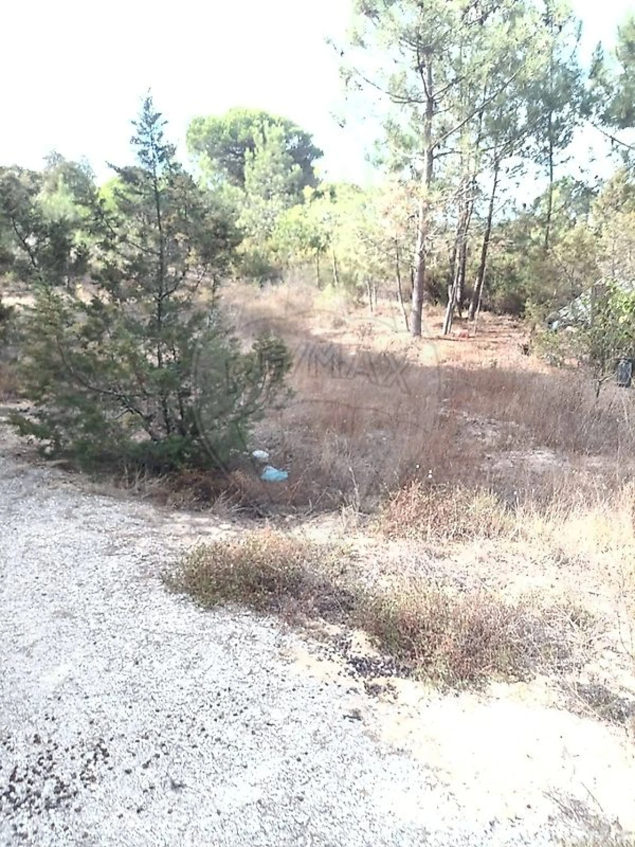 Terreno para Venda em Sesimbra (Castelo) Foto 7