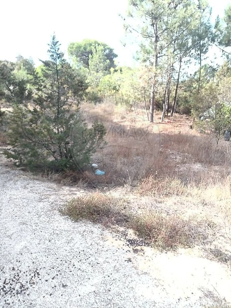 Terreno para Venda em Sesimbra (Castelo) Foto 7