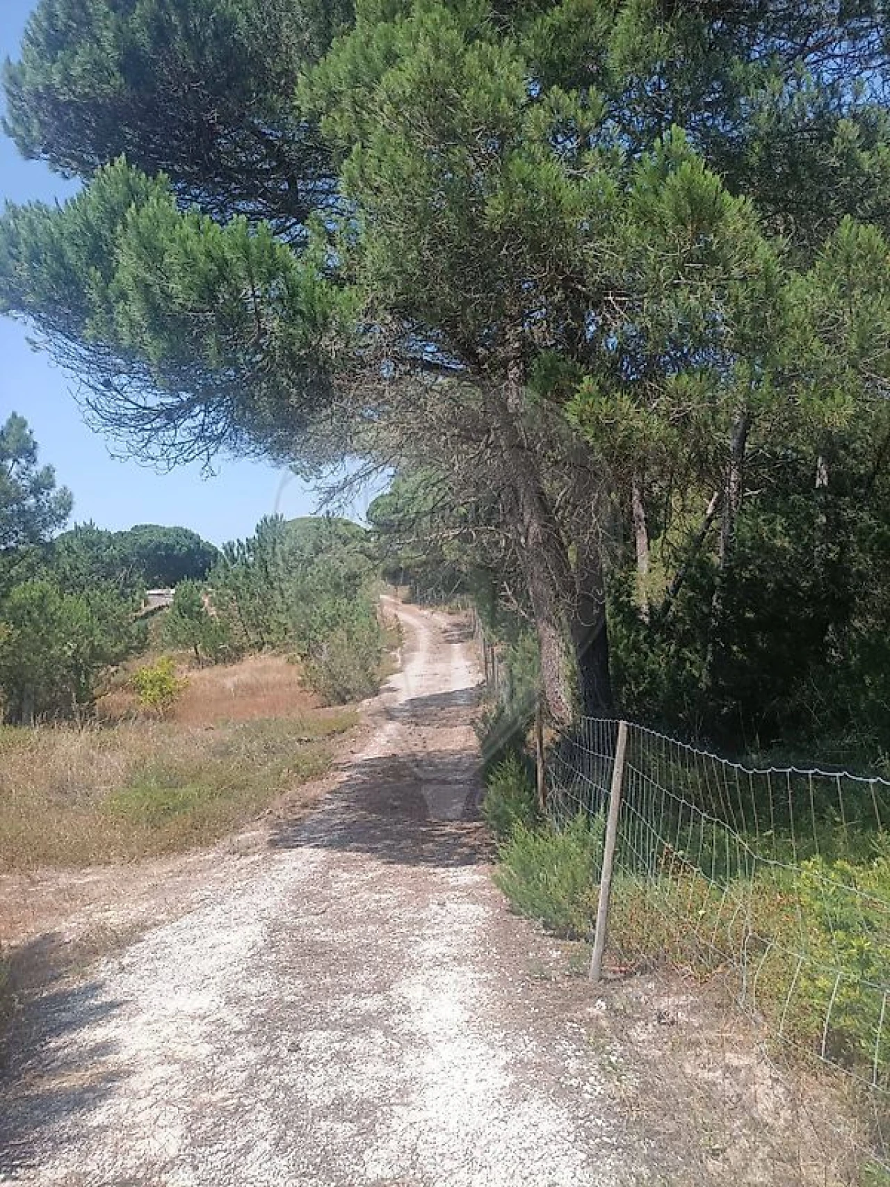 Terreno para Venda em Sesimbra (Castelo) Foto 2