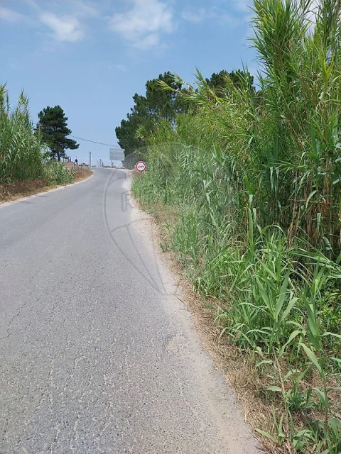 Terreno para Venda em Vila Nova de Milfontes