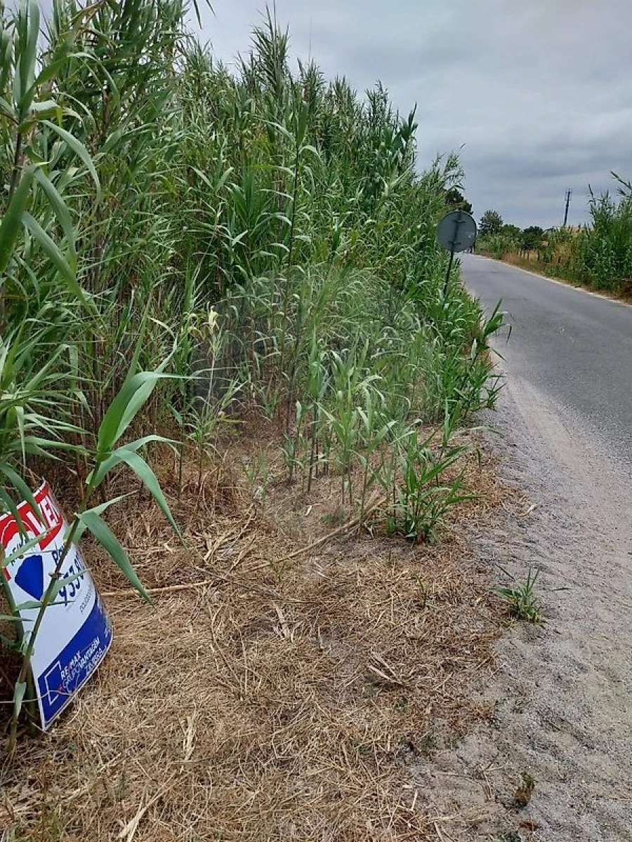 Terreno para Venda em Vila Nova de Milfontes Foto 4