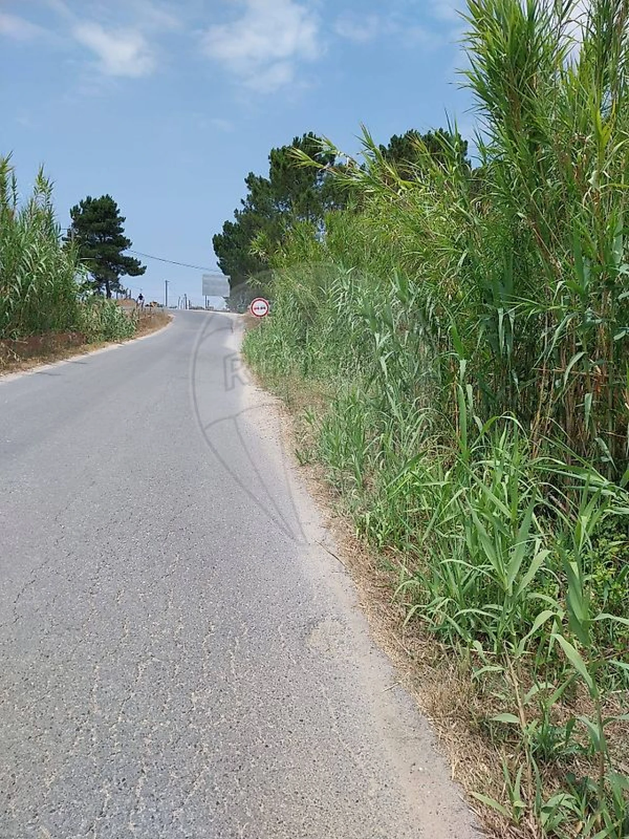 Terreno para Venda em Vila Nova de Milfontes Foto 3