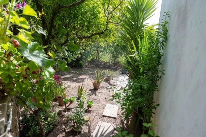 Moradia T5 para Venda em Juncal