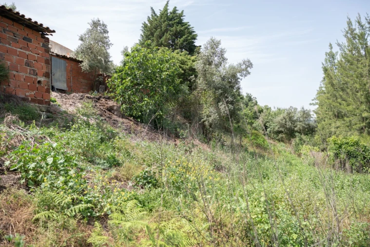 Terreno para Venda em Maxial e Monte Redondo Foto 5