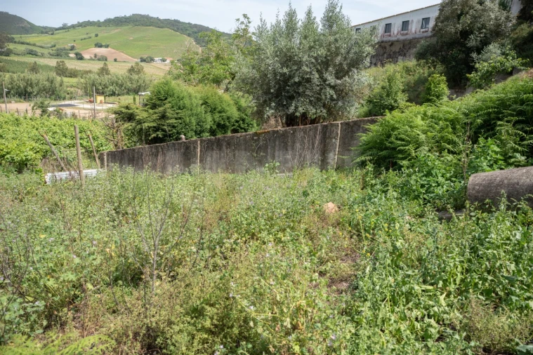 Terreno para Venda em Maxial e Monte Redondo Foto 6