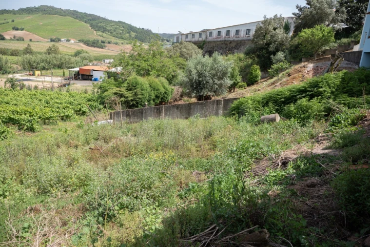 Terreno para Venda em Maxial e Monte Redondo Foto 7