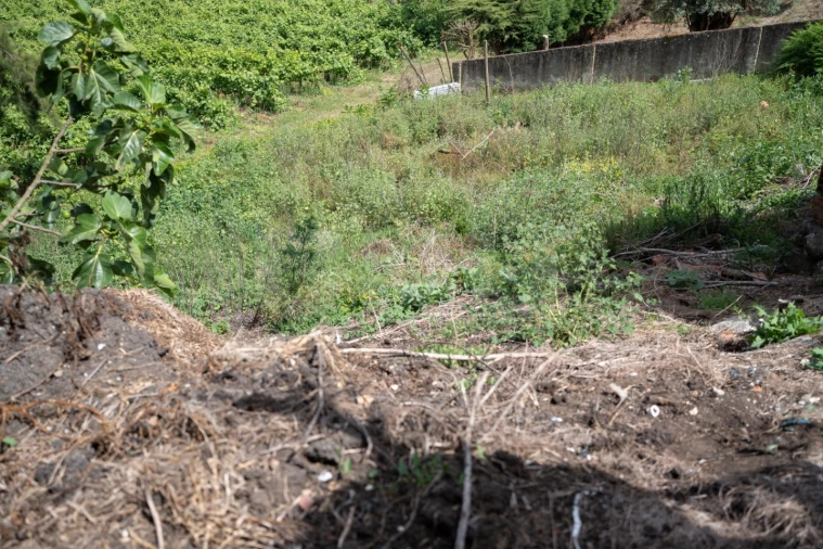 Terreno para Venda em Maxial e Monte Redondo Foto 8