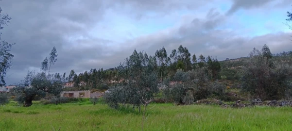 Terreno Agricola ou Rústico para Venda em Mação, Penhascoso e Aboboreira