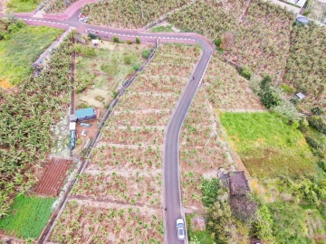 Terreno para Venda em Arco da Calheta