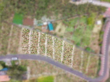 Terreno para Venda em Arco da Calheta