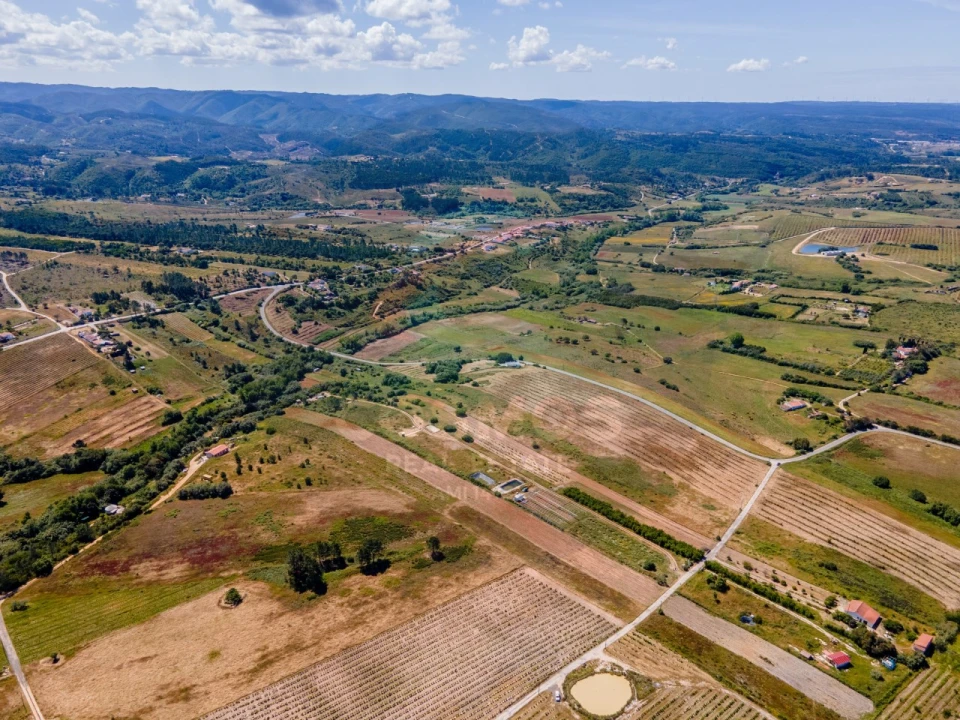 Terreno Agricola ou Rústico para Venda em Rogil Foto 2