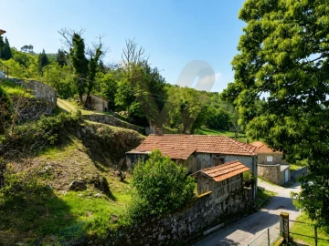 Terreno para Venda em Bico e Cristelo