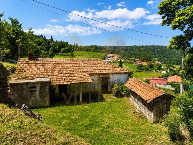 Terreno para Venda em Bico e Cristelo Foto 4