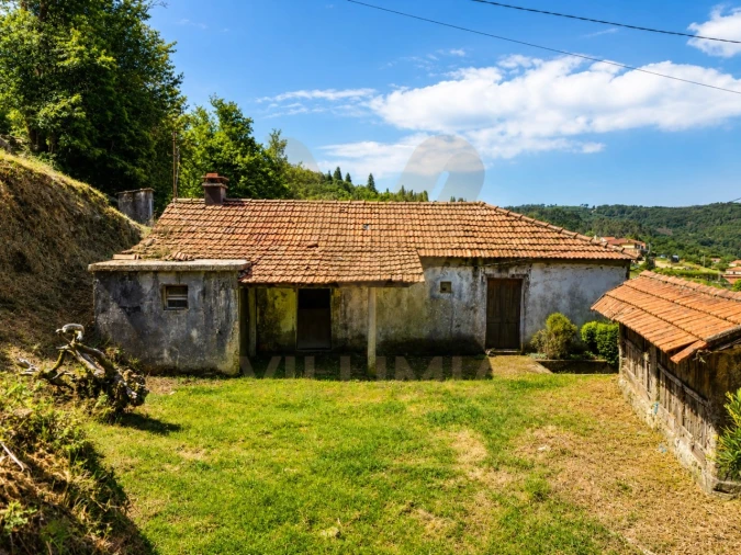 Terreno para Venda em Bico e Cristelo Foto 7