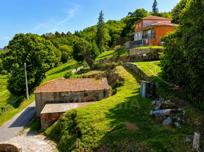 Terreno para Venda em Bico e Cristelo Foto 8
