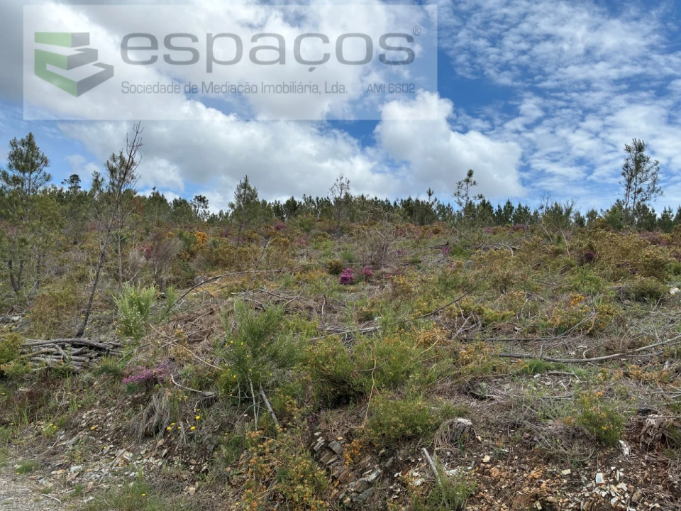 Terreno para Venda em Unhais-O-Velho Foto 34