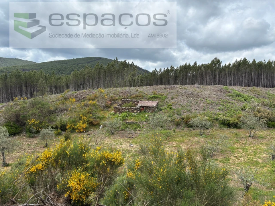Terreno para Venda em Unhais-O-Velho Foto 1