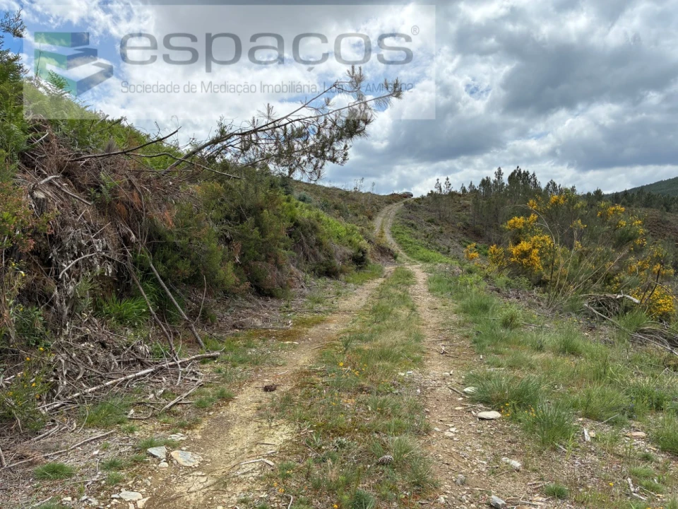 Terreno para Venda em Unhais-O-Velho Foto 3