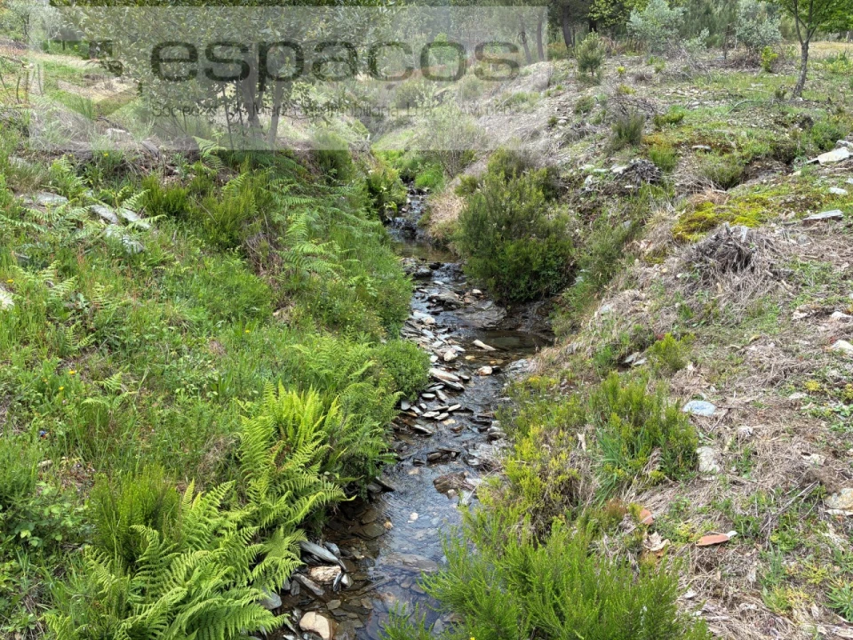 Terreno para Venda em Unhais-O-Velho Foto 7