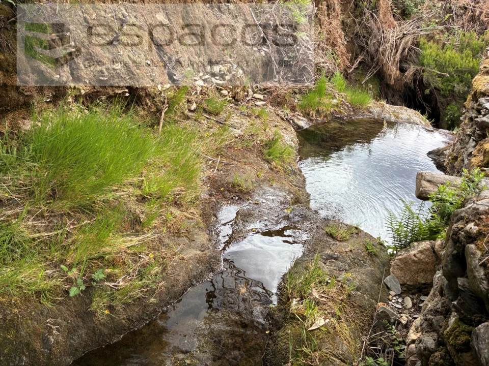 Terreno para Venda em Unhais-O-Velho Foto 8