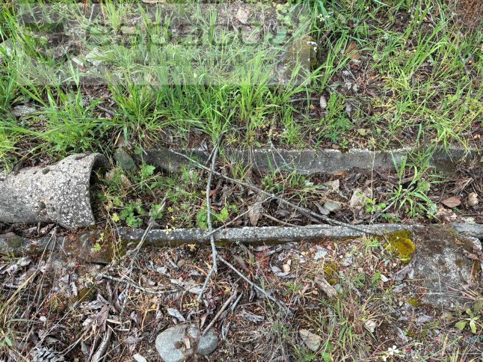 Terreno para Venda em Unhais-O-Velho Foto 31