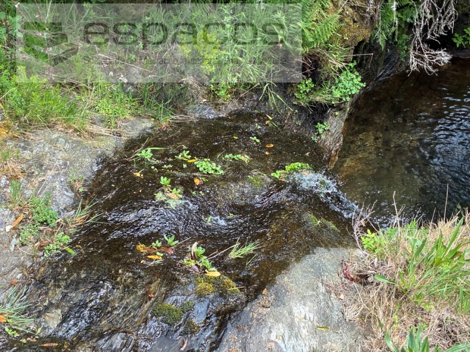 Terreno para Venda em Unhais-O-Velho Foto 26
