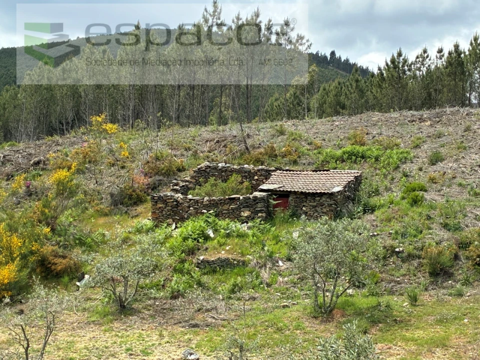 Terreno para Venda em Unhais-O-Velho Foto 18