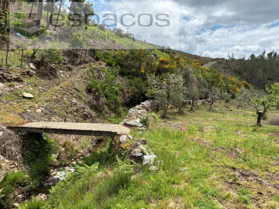 Terreno para Venda em Unhais-O-Velho Foto 4