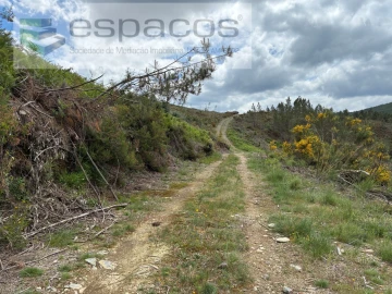 Terreno para Venda em Unhais-O-Velho