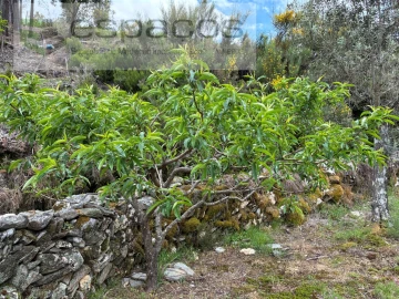 Terreno para Venda em Unhais-O-Velho