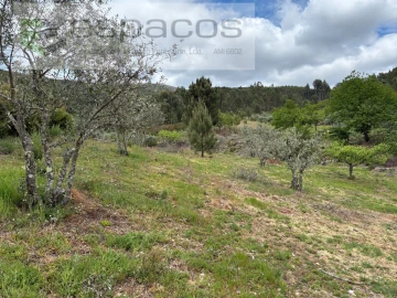 Terreno para Venda em Unhais-O-Velho