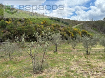 Terreno para Venda em Unhais-O-Velho