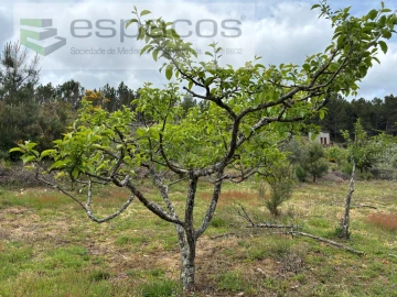 Terreno para Venda em Unhais-O-Velho