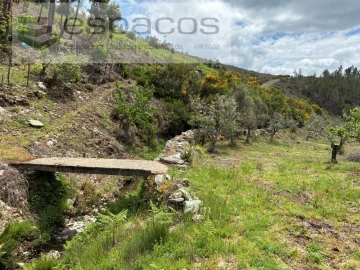 Terreno para Venda em Unhais-O-Velho