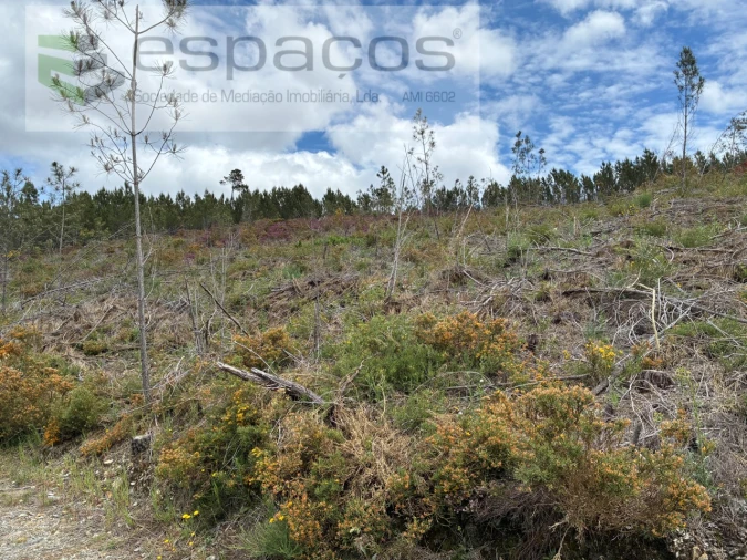 Terreno para Venda em Unhais-O-Velho Foto 2