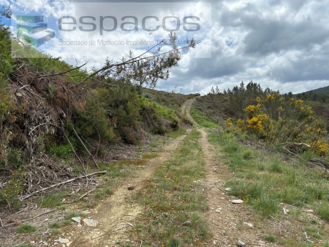 Terreno para Venda em Unhais-O-Velho Foto 3