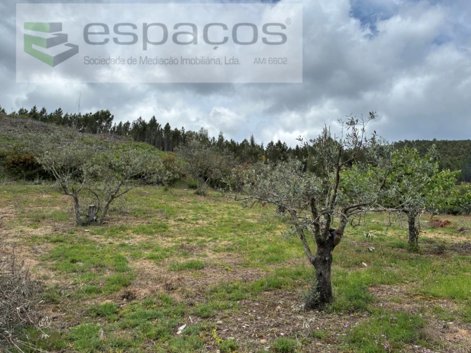 Terreno para Venda em Unhais-O-Velho Foto 14