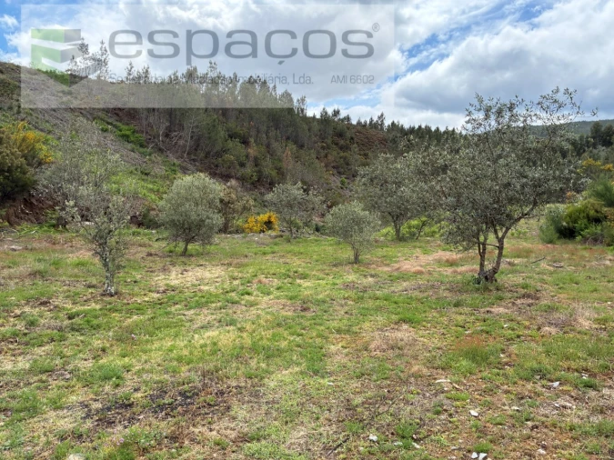 Terreno para Venda em Unhais-O-Velho Foto 16