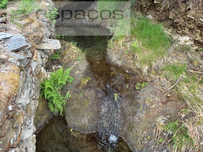 Terreno para Venda em Unhais-O-Velho Foto 11