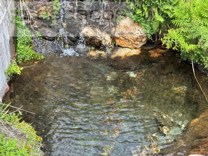 Terreno para Venda em Unhais-O-Velho Foto 24