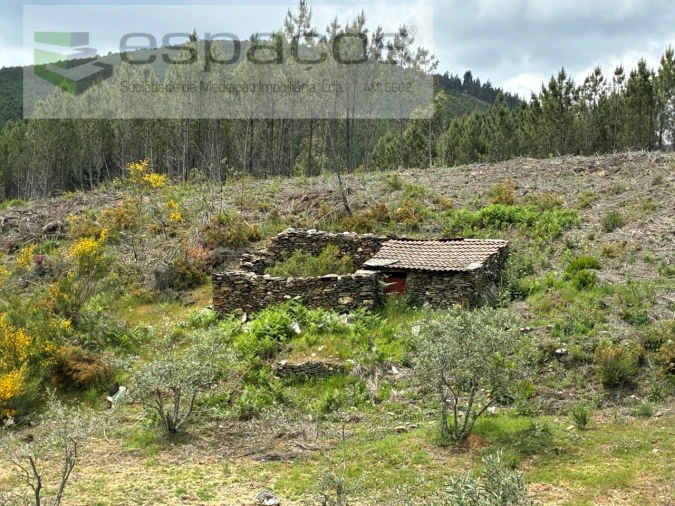 Terreno para Venda em Unhais-O-Velho Foto 18